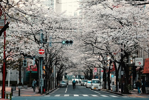 Tokyo